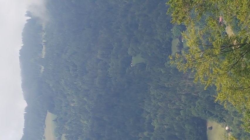 Vue Depuis La Saline